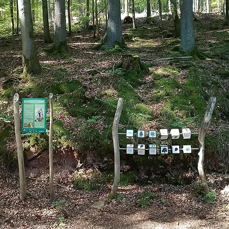 Jahnke